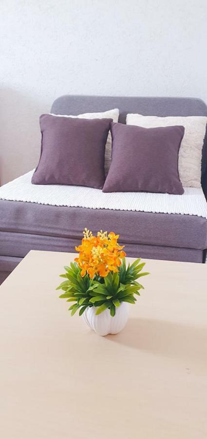 Apartments Four Countesses Virpazar Εξωτερικό φωτογραφία